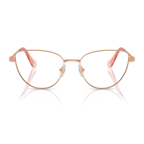 Swarovski SK1007