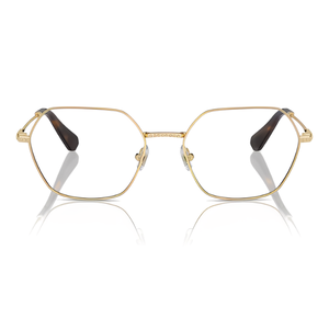 Swarovski SK1011