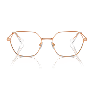 Swarovski SK1011