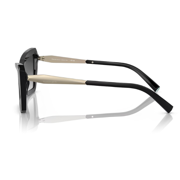 TF 4203 8001 3C LATERAL