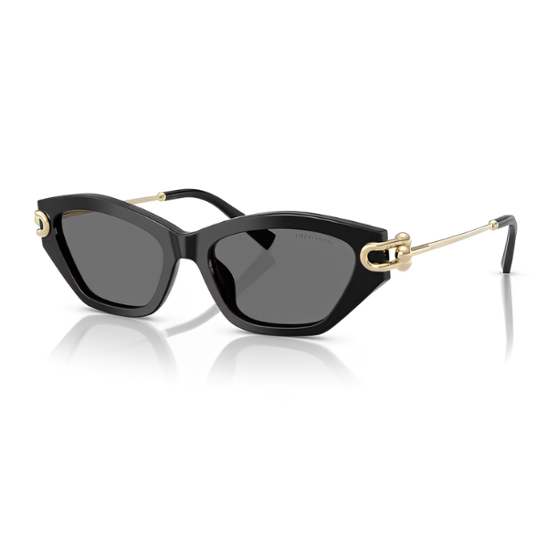 Tiffany & Co TF4231-U