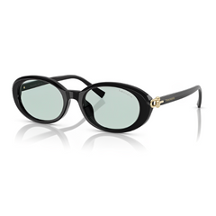 Tiffany & Co TF4242-D