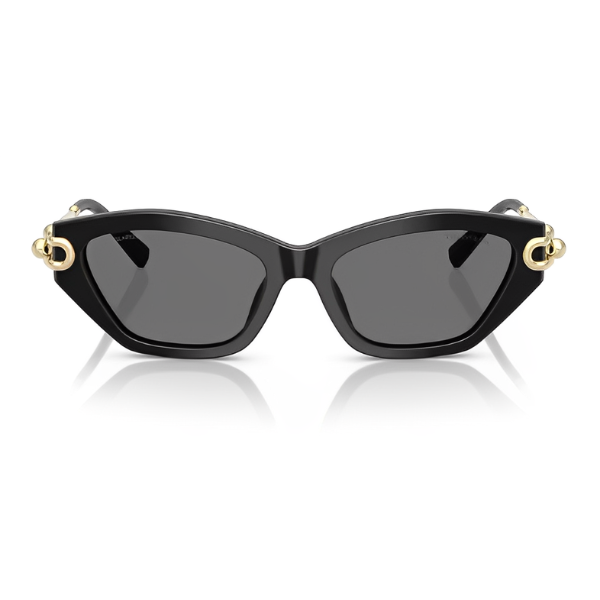 Tiffany & Co TF4231-U